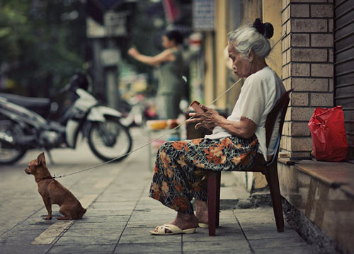 Khi không người bầu bạn