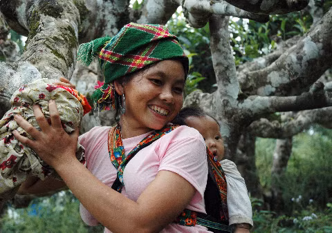 Nụ cười hạnh phúc - ảnh chụp bên cây chè cổ Suối Giàng, Nghĩa Lộ.