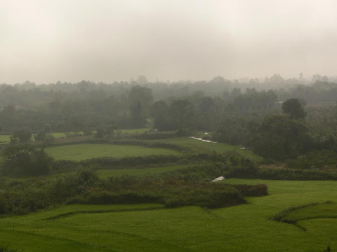 Cánh đồng miền núi.