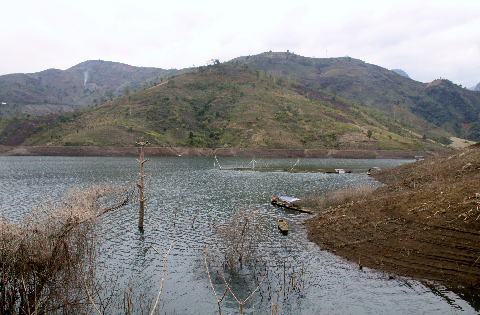 Những gốc gây khô khốc ven hồ. Những gốc gây khô khốc ven hồ.