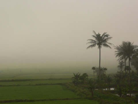 Làng quê thanh bình.