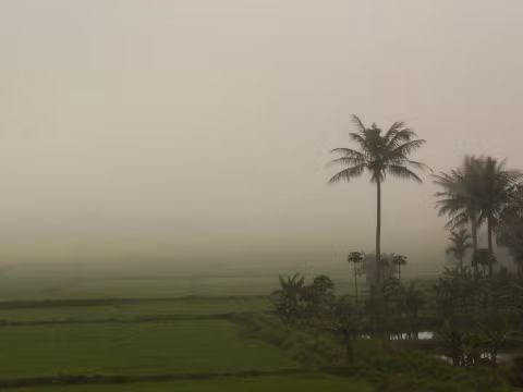 Làng quê thanh bình.