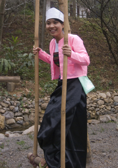 Đu xuân - ảnh chụp ở Chăm Mát, Hòa Bình.