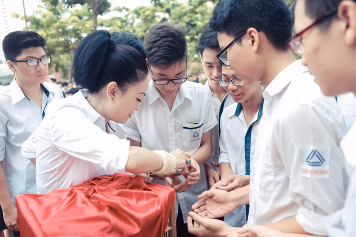 Còn riêng cô, cô nhìn thấy trước khi lũ chim nhỏ bay đi, chúng đậu lại nơi cái cây cuối cùng ở dãy phòng học của khối cấp 2, nhiều lắm những chú chim bé bỏng...đậu ở đấy.