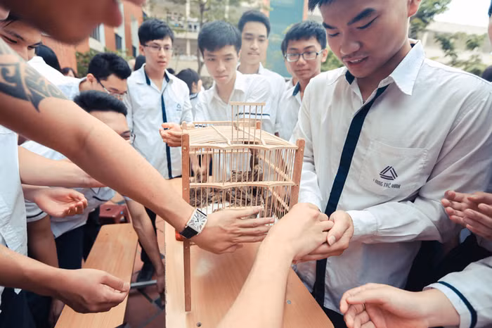 Cô Thùy Dương tự hỏi: Không biết hôm nay có bao nhiêu con dõi theo những chú chim bé nhỏ khi chúng bay đi, bao nhiêu con tự hỏi chú chim bé bỏng ấy sẽ ra sao? Bao nhiêu con hạnh phúc khi làm được việc thiện? Bao nhiêu con chỉ thả tay ra để chú chim bé nhỏ kia bay đi và chẳng bao giờ nghĩ thêm gì nữa?