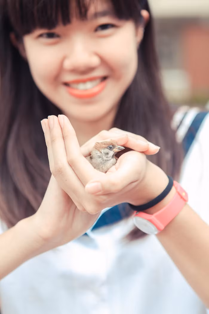 Cô biết, rồi các con sẽ bay cao, bay xa mãi, có thể một ngày nào đó khi các con bớt đi công việc bộn bề hàng ngày...các con mới chợt nhớ về ngày hôm nay, về nơi này.