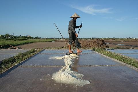 Những "luống" muối đơn độc trên cánh đồng. Những "luống" muối đơn độc trên cánh đồng.