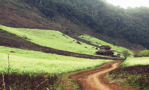 Bức tranh sơn cước nên thơ