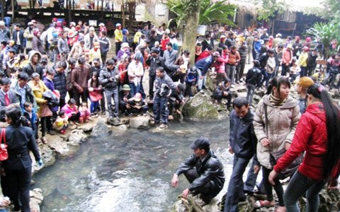 Hàng năm, có rất đông du khách đến hội để được tận mắt chứng kiến suối cá thần Hàng năm, có rất đông du khách đến hội để được tận mắt chứng kiến suối cá thần