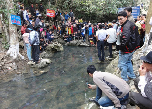 Và không quên chụp hình lại làm kỷ niệm Và không quên chụp hình lại làm kỷ niệm