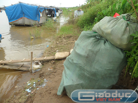 Những hộ dân sống ở đây đến từ khắp nơi trong cả nước và mưu sinh bằng đủ thứ nghề, từ bốc vác hàng hóa trên chợ Long Biên cho đến nhặt rác, buôn bán ve chai,...