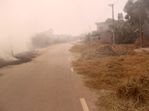 Trên tuyến đường 429 đoạn qua 2 xã Hoa Sơn và Trường Thịnh (huyện Ứng Hòa, Hà Nội) hàng trăm hộ dân vận chuyển lúa từ nhà ra quốc lộ phơi hoặc đem lúa gặt từ ruộng lên đường tập kết rồi tuốt, phơi luôn tại đây. Trên tuyến đường 429 đoạn qua 2 xã Hoa Sơn và Trường Thịnh (huyện Ứng Hòa, Hà Nội) hàng trăm hộ dân vận chuyển lúa từ nhà ra quốc lộ phơi hoặc đem lúa gặt từ ruộng lên đường tập kết rồi tuốt, phơi luôn tại đây.