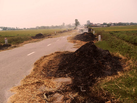 Những đống rơm vừa mới được đốt cháy xong. Những đống rơm vừa mới được đốt cháy xong.