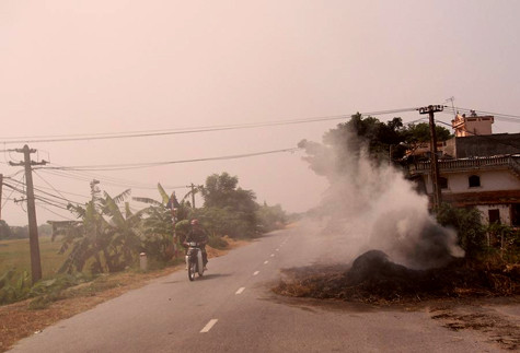 Trên tuyến đường 429 đoạn qua 2 xã Hoa Sơn và Trường Thịnh (huyện Ứng Hòa, Hà Nội) hàng trăm hộ dân vận chuyển lúa từ nhà ra quốc lộ phơi hoặc đem lúa gặt từ ruộng lên đường tập kết rồi tuốt, phơi luôn tại đây. Trên tuyến đường 429 đoạn qua 2 xã Hoa Sơn và Trường Thịnh (huyện Ứng Hòa, Hà Nội) hàng trăm hộ dân vận chuyển lúa từ nhà ra quốc lộ phơi hoặc đem lúa gặt từ ruộng lên đường tập kết rồi tuốt, phơi luôn tại đây.