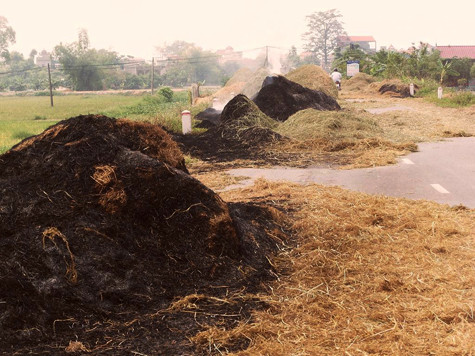 Nhiều hộ dân sau khi phơi khô đã chất rơm rạ lại thành từng đống lớn rồi đốt luôn ngay ven đường quốc lộ để lấy tro bón lúa khiến khói bụi bốc lên mù mịt làm cản trở tầm nhìn của người điều khiển phương tiện khi tham gia giao thông rất nhiều. Nhiều hộ dân sau khi phơi khô đã chất rơm rạ lại thành từng đống lớn rồi đốt luôn ngay ven đường quốc lộ để lấy tro bón lúa khiến khói bụi bốc lên mù mịt làm cản trở tầm nhìn của người điều khiển phương tiện khi tham gia giao thông rất nhiều.