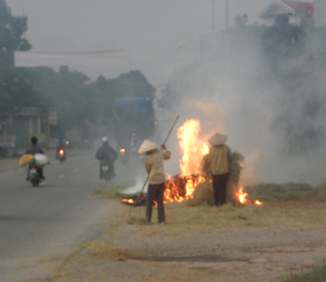 Việc đốt rơm rạ không chỉ gây khó khăn và nguy hiểm cho người tham gia giao thông mà còn gây ô nhiễm môi trường, lãng phí rất nhiều nguyên liệu phục vụ cho sản xuất nông nghiệp.... Việc đốt rơm rạ không chỉ gây khó khăn và nguy hiểm cho người tham gia giao thông mà còn gây ô nhiễm môi trường, lãng phí rất nhiều nguyên liệu phục vụ cho sản xuất nông nghiệp....