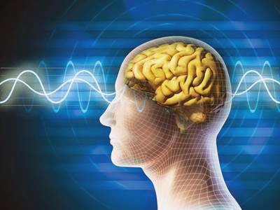 Đẩy nhanh suy thoái tế bào não: Đại lượng huyết dịch chạy dồn về não cũng sẽ làm cho áp lực của huyết quản não tăng lên. Lúc này trong huyết dịch hàm chứa độc tố nhiều nhất, ô xy ít nhất, không khác gì một “vị thuốc độc” cho não. Đẩy nhanh suy thoái tế bào não: Đại lượng huyết dịch chạy dồn về não cũng sẽ làm cho áp lực của huyết quản não tăng lên. Lúc này trong huyết dịch hàm chứa độc tố nhiều nhất, ô xy ít nhất, không khác gì một “vị thuốc độc” cho não.