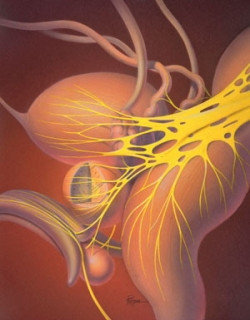 5. Ung thư tuyến tiền liệt: Bệnh ung thư này là nguyên nhân tử vong do ung thư đứng hàng thứ 2 ở nam giới, sau ung thư phổi và phế quản. Ung thư tuyến tiền liệt thường bắt đầu tăng trưởng chậm ở tuyến tiền liệt – nơi sản sinh tinh dịch để chuyên chở tinh trùng. Theo Bệnh viện Mayo Clinic, một số loại vẫn khu trú ở tuyến tiền liệt và dễ điều trị hơn, nhưng một số loại tấn công hơn và di căn nhanh. NCI cho biết năm 2010 ung thư tuyến tiền liệt gây ra khoảng 32.000 ca tử vong ở nam giới.