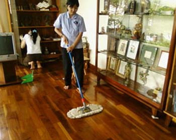 Khắc phục: Hãy loại bỏ ngay những mảng rêu bám màu đen, cọ sạch với chất tẩy rửa mạnh và xối sạch bằng nước. Rêu, bùn không thể tồn tại nếu bạn giữ cho quanh nhà mình luôn thông thoáng và khô ráo.