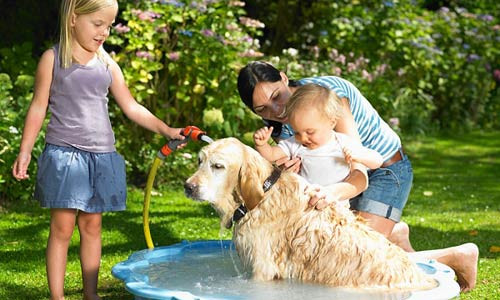 Khắc phục: Hãy luôn giữ cho những con vật nuôi tránh xa giường ngủ vì đó là nơi bọ chét có thể bám vào người bạn. Thường xuyên vệ sinh giường chiếu, chăn, ga, gối và giữ cho nhà bạn luôn sạch sẽ, thoáng mát.