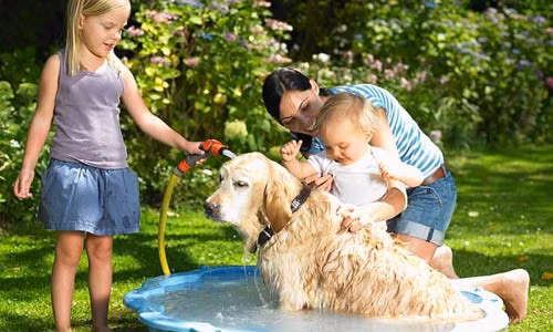 Khắc phục: Hãy luôn giữ cho những con vật nuôi tránh xa giường ngủ vì đó là nơi bọ chét có thể bám vào người bạn. Thường xuyên vệ sinh giường chiếu, chăn, ga, gối và giữ cho nhà bạn luôn sạch sẽ, thoáng mát.