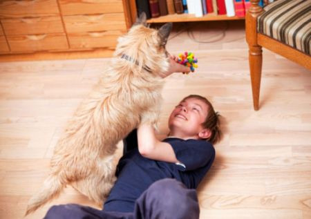 4. Vật nuôi: Những con vật nuôi trong gia đình bạn có thể mang trên mình những loại vi khuẩn salmonella, campylobacter, siêu vi trùng clostridium difficile và MRSA. Bên cạnh đó, mèo và chó cũng mang những mầm bệnh trên bộ lông và bạn sẽ dễ mắc nguy cơ bị nấm da nếu tiếp xúc với chúng.