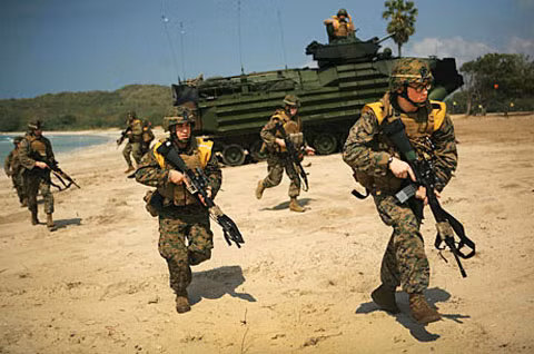 Hình ảnh cuộc tập trận Hổ mang vàng năm 2012.