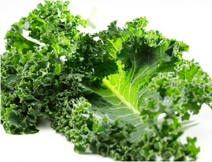 Rau bina, rau cải xoăn và rau rậm lá: Các loại rau rậm lá có thêm a-xít béo omega-3 ALA ngoài những lợi ích dinh dưỡng. Sa-lát rau bina và rau diếp kẹp vào bánh sandwich giúp tăng cường hấp thu ALA. Một tin tốt đó là các a-xít béo không chỉ cải thiện sức khỏe tim. Nhiều nghiên cứu cho thấy chúng có lợi cho các bệnh khác, bao gồm ung thư, bệnh viêm ruột, lupus và viêm khớp dạng thấp. Rau bina, rau cải xoăn và rau rậm lá: Các loại rau rậm lá có thêm a-xít béo omega-3 ALA ngoài những lợi ích dinh dưỡng. Sa-lát rau bina và rau diếp kẹp vào bánh sandwich giúp tăng cường hấp thu ALA. Một tin tốt đó là các a-xít béo không chỉ cải thiện sức khỏe tim. Nhiều nghiên cứu cho thấy chúng có lợi cho các bệnh khác, bao gồm ung thư, bệnh viêm ruột, lupus và viêm khớp dạng thấp.