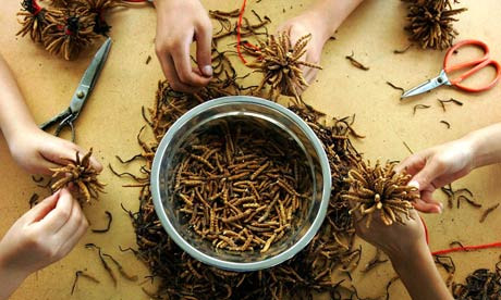 Ảnh minh họa. (Nguồn: Internet) Ảnh minh họa. (Nguồn: Internet)