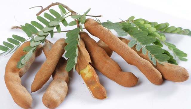 7. Cung cấp năng lượng mà không gây béo (hàm lượng riboflavin 9%): Nếu bạn cảm thấy mệt mỏi, uể oải, hãy thử dùng một ít quả me có vị ngọt. Thành phần của me bao gồm chất riboflavin sẽ giúp chuyển hóa carbohydrate trong cơ thể thành năng lượng. Bởi vậy, khi ăn me, bạn không cần nạp thêm tinh bột mà vẫn có năng lượng cho các hoạt động của mình. 7. Cung cấp năng lượng mà không gây béo (hàm lượng riboflavin 9%): Nếu bạn cảm thấy mệt mỏi, uể oải, hãy thử dùng một ít quả me có vị ngọt. Thành phần của me bao gồm chất riboflavin sẽ giúp chuyển hóa carbohydrate trong cơ thể thành năng lượng. Bởi vậy, khi ăn me, bạn không cần nạp thêm tinh bột mà vẫn có năng lượng cho các hoạt động của mình.