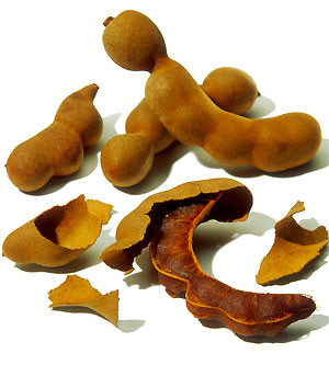 5. Ngăn chặn bệnh thiếu máu (hàm lượng sắt 16%): Với hàm lượng sắt phong phú, quả me sẽ giúp bạn tránh được tình trạng thiếu máu do thiếu sắt. Vì vậy, đây cũng là loại trái cây rất tốt cho phụ nữ mang thai. 5. Ngăn chặn bệnh thiếu máu (hàm lượng sắt 16%): Với hàm lượng sắt phong phú, quả me sẽ giúp bạn tránh được tình trạng thiếu máu do thiếu sắt. Vì vậy, đây cũng là loại trái cây rất tốt cho phụ nữ mang thai.