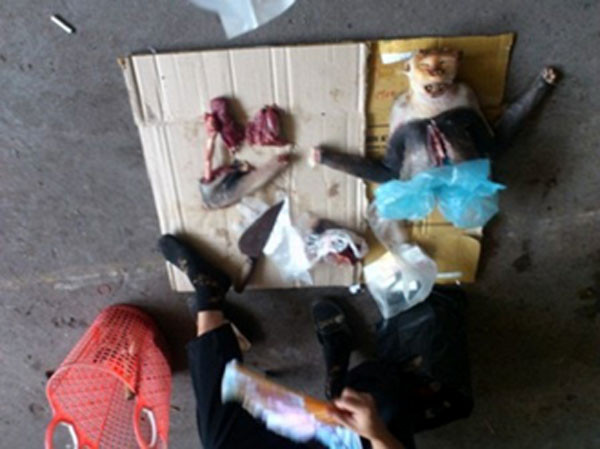 Thịt khỉ, voọc được bày bán ở một số chợ tại TP Hạ Long, Quảng Ninh