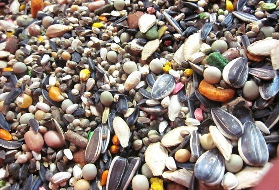 Các loại hạt như: Hạnh nhân, quả óc chó, hạt bí ngô và hạt hướng dương…chứa nhiều axit béo omega-3, có thể giúp giảm cholesterol xấu và tăng cholesterol tốt cho cơ thể.