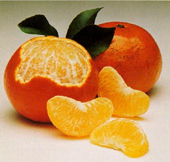 Đặc biệt là không nên ăn quýt khi bụng đói vì chất toan của nước quýt sẽ kích thích rất mạnh với màng dạ dày, ảnh hưởng cho sự hấp thụ tiêu hoá bình thường của dạ dày. Đặc biệt là không nên ăn quýt khi bụng đói vì chất toan của nước quýt sẽ kích thích rất mạnh với màng dạ dày, ảnh hưởng cho sự hấp thụ tiêu hoá bình thường của dạ dày.