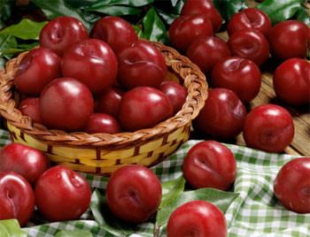 Không được ăn nhiều mận: Mận là loại có nhiều chất chua (axit) nó có khả năng phân giải Ca-P và chất protein trong cơ thể, nếu như các chất trên bị mất nhiều, có thể sinh bệnh. Không được ăn nhiều mận: Mận là loại có nhiều chất chua (axit) nó có khả năng phân giải Ca-P và chất protein trong cơ thể, nếu như các chất trên bị mất nhiều, có thể sinh bệnh.