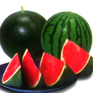 Dưa hấu gây lạnh: Dưa hấu có tác dụng để giải nhiệt. Trong ngày nóng bức ăn một ít dưa hấu thì tốt nhưng dưa hấu có tính hàn, nếu thường xuyên ăn thì không có lợi. Đặc biệt là những người tiêu hoá xấu, người hay tiểu đêm và có bệnh di tinh càng không nên ăn nhiều. Dưa hấu gây lạnh: Dưa hấu có tác dụng để giải nhiệt. Trong ngày nóng bức ăn một ít dưa hấu thì tốt nhưng dưa hấu có tính hàn, nếu thường xuyên ăn thì không có lợi. Đặc biệt là những người tiêu hoá xấu, người hay tiểu đêm và có bệnh di tinh càng không nên ăn nhiều.