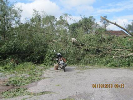 Nhiều tuyến đường tại Quảng Bình bị cây xanh đổ ngã chắn ngang làm ách tắc giao thông Nhiều tuyến đường tại Quảng Bình bị cây xanh đổ ngã chắn ngang làm ách tắc giao thông