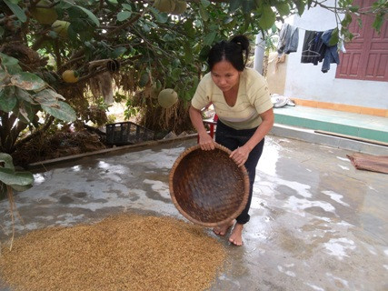 Bao nhiêu hạt lúa của hàng ngàn người dân đã bị chìm và cuốn trôi trong lũ