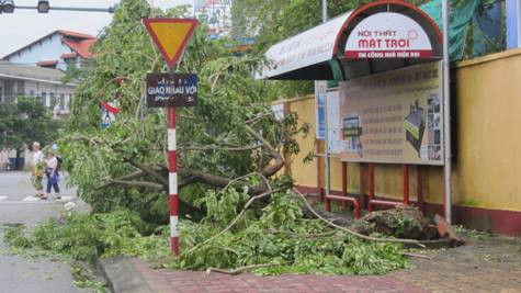 Nhiều cây xanh khác bị gió bẻ gãy ngang đổ sạt xuống đường TP. Huế Nhiều cây xanh khác bị gió bẻ gãy ngang đổ sạt xuống đường TP. Huế