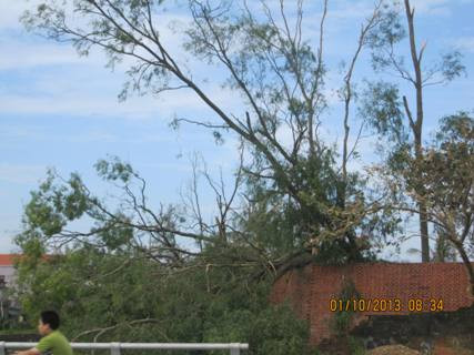 Cây cối đổ lên nhà dân tại Quảng Bình Cây cối đổ lên nhà dân tại Quảng Bình