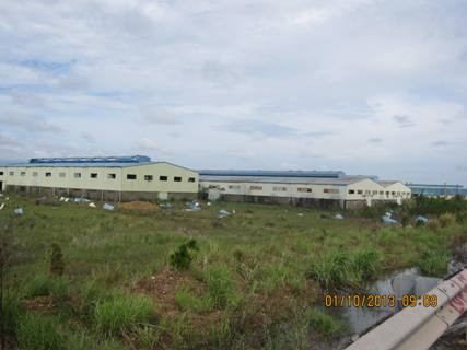 Mái tôn trên các nhà máy bị gió bão tốc đi bay ra xa Mái tôn trên các nhà máy bị gió bão tốc đi bay ra xa