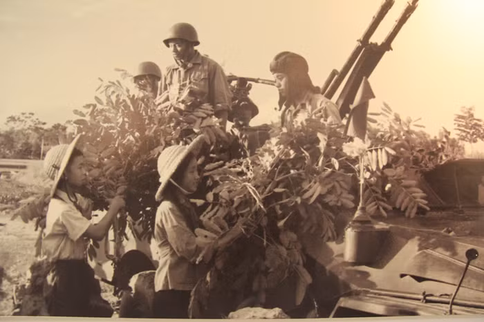 Học sinh trường cấp II Xuân Đỉnh, Hà Nội mang lá giúp bộ đội ngụy trang trận địa pháo cao xạ. >>Chàng trai không tay người Dao đỗ Đại học >>Đáng yêu những thiên thần nhỏ ngày khai trường >>Những hình ảnh đẹp nhất lễ khai giảng 2012 Học sinh trường cấp II Xuân Đỉnh, Hà Nội mang lá giúp bộ đội ngụy trang trận địa pháo cao xạ. >>Chàng trai không tay người Dao đỗ Đại học >>Đáng yêu những thiên thần nhỏ ngày khai trường >>Những hình ảnh đẹp nhất lễ khai giảng 2012