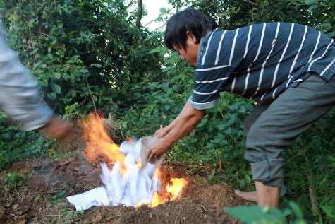 Số rắn lục đuôi đỏ sau khi được người dân giao nộp chính quyền địa phương đã tiến hành tiêu hủy