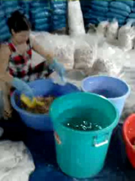 Công nhân dùng thuốc tẩy (ClO2) để tẩy trắng thạch dừa thô - Ảnh: Hữu Khoa Công nhân dùng thuốc tẩy (ClO2) để tẩy trắng thạch dừa thô - Ảnh: Hữu Khoa
