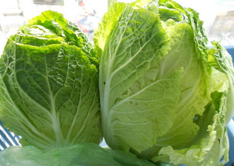 Cải thảo - món ăn thông dụng của nhiều người. Cải thảo - món ăn thông dụng của nhiều người.