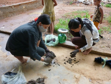 Các thương lái đến tận nhà dân thu mua đỉa.