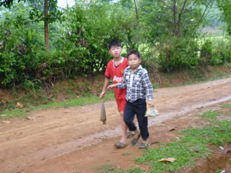 Nhiều em học sinh sáng đi học, chiều đi săn đỉa.