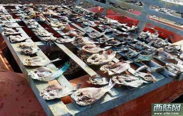 Cá trên tàu của Philippines (nguồn Đại công báo, Hồng Kông, Trung Quốc)