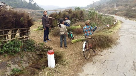 Nhưng trời mưa đót chổi không phơi đươc nên thương lái không tiếp tục mua đót chổi của các em (ảnh Xuân Hòa) Nhưng trời mưa đót chổi không phơi đươc nên thương lái không tiếp tục mua đót chổi của các em (ảnh Xuân Hòa)