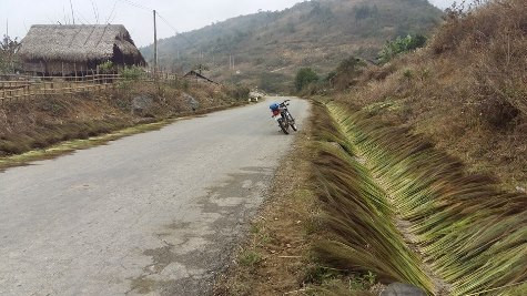 Cuối năm những bó đót chổi được thương lái mua với giá 3000 đồng/kg (ảnh Xuân Hòa) Cuối năm những bó đót chổi được thương lái mua với giá 3000 đồng/kg (ảnh Xuân Hòa)